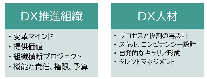 図1 DXを推進する組織と人材像の定義