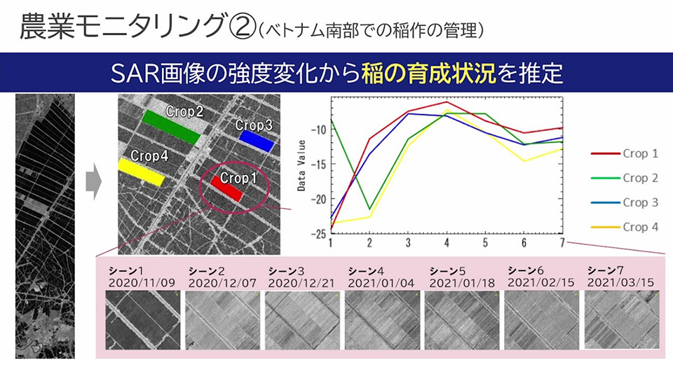 図5:ベトナムにおける稲作のモニタリング