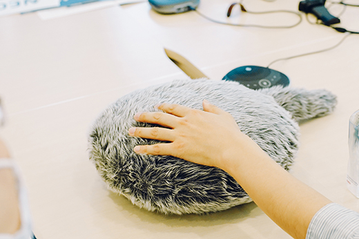 心を癒やす、しっぽクッション。Qoobo(R)