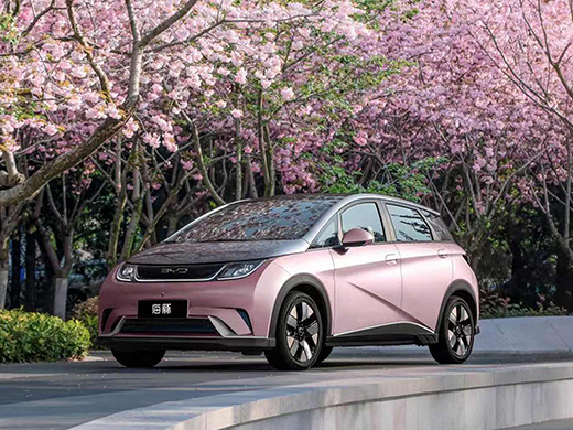 BYDの「海洋系列」海豚(車種名)(※BYD Webサイトより)